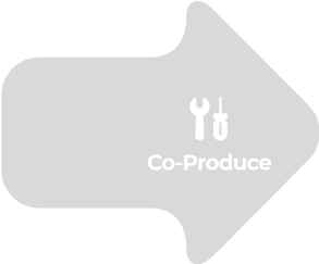 Arrow Co-Produce grey